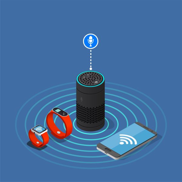 Integrating AI Voice Assistants in Education